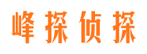 北川市侦探公司